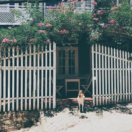 Nha Tim Homestay Da Lat Exterior photo